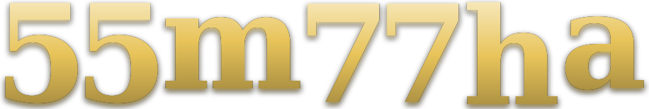 55m77ha logo